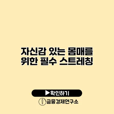 자신감 있는 몸매를 위한 필수 스트레칭