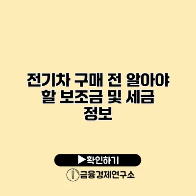 전기차 구매 전 알아야 할 보조금 및 세금 정보