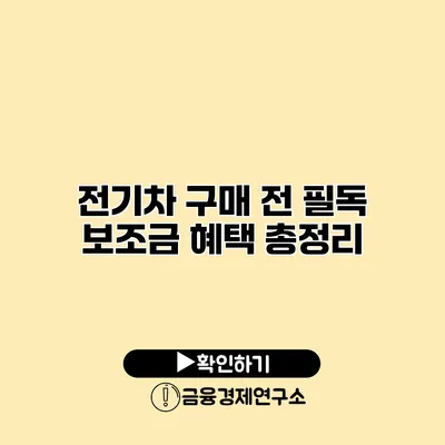 전기차 구매 전 필독 보조금 혜택 총정리