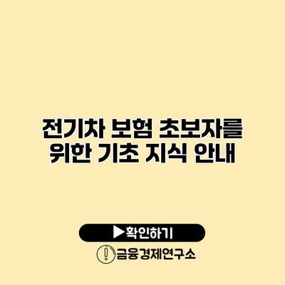 전기차 보험 초보자를 위한 기초 지식 안내