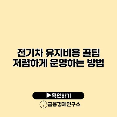 전기차 유지비용 꿀팁 저렴하게 운영하는 방법