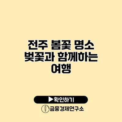 전주 봄꽃 명소 벚꽃과 함께하는 여행