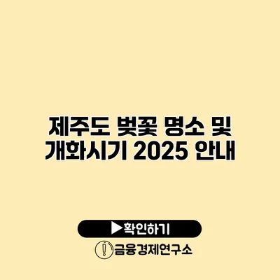 제주도 벚꽃 명소 및 개화시기 2025 안내