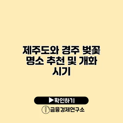 제주도와 경주 벚꽃 명소 추천 및 개화 시기