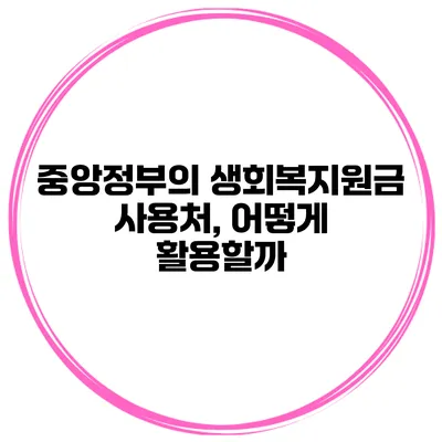 중앙정부의 생회복지원금 사용처, 어떻게 활용할까?