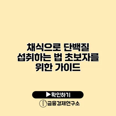 채식으로 단백질 섭취하는 법 초보자를 위한 가이드