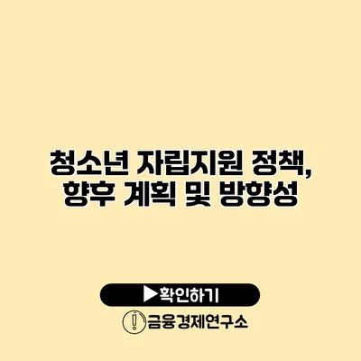 청소년 자립지원 정책, 향후 계획 및 방향성