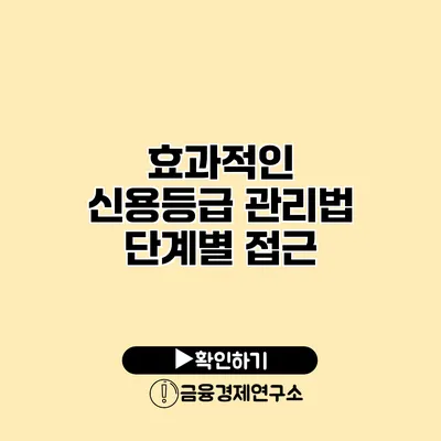 효과적인 신용등급 관리법 단계별 접근