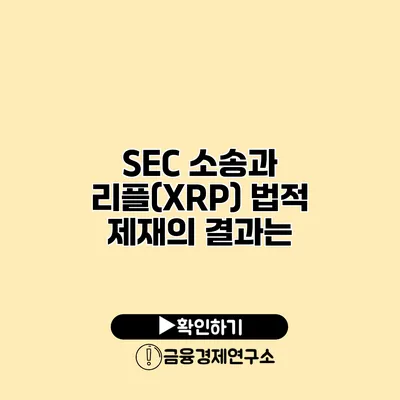 SEC 소송과 리플(XRP) 법적 제재의 결과는?
