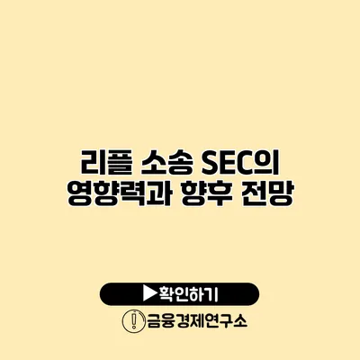리플 소송 SEC의 영향력과 향후 전망