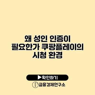왜 성인 인증이 필요한가? 쿠팡플레이의 시청 환경