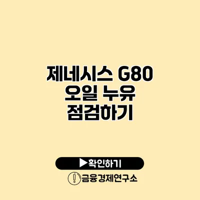 제네시스 G80 오일 누유 점검하기