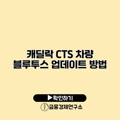캐딜락 CTS 차량 블루투스 업데이트 방법